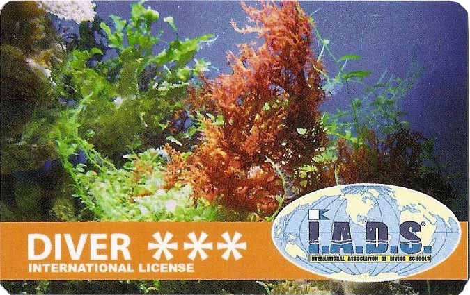 Rescue Diver Brevetcard